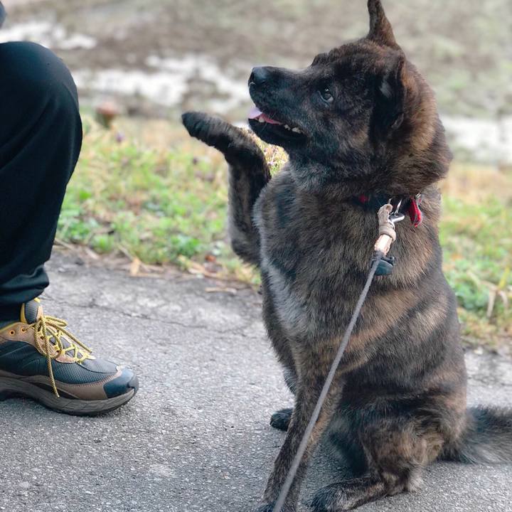 A577b3e8 5bb5 41b7 86c8 474ecb77a5d4 1523486466634