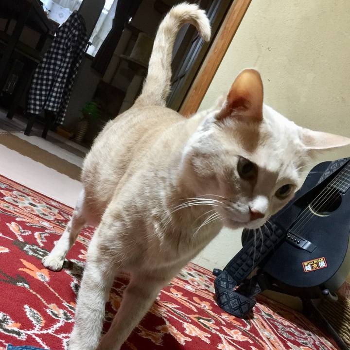 A577eb92 4376 4435 9695 6e6b9907be11 1588756612158