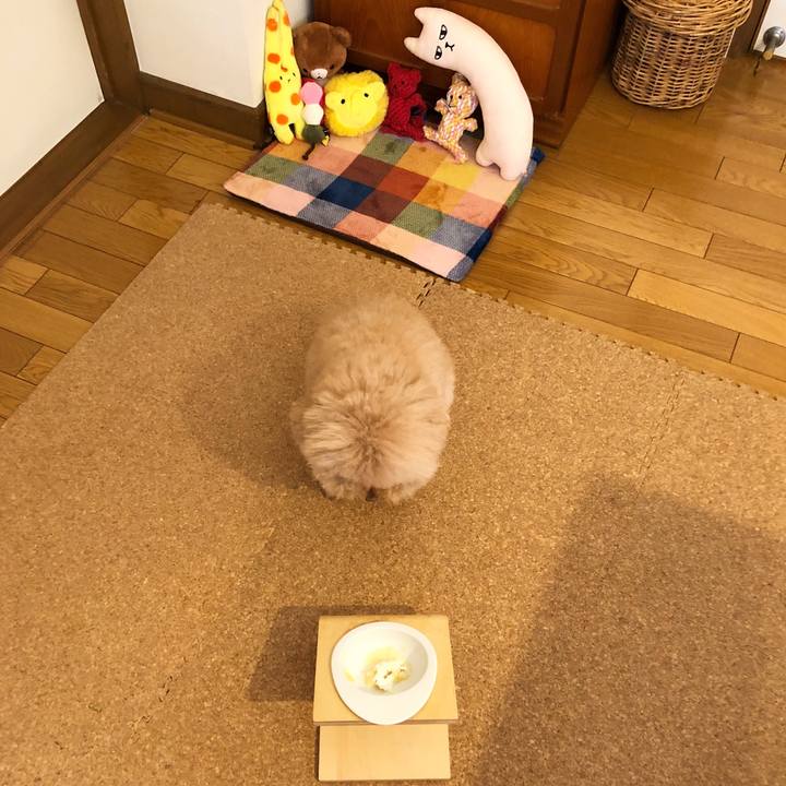 A57827ae 6b6d 4264 b36e 24085c235348 1521947506444