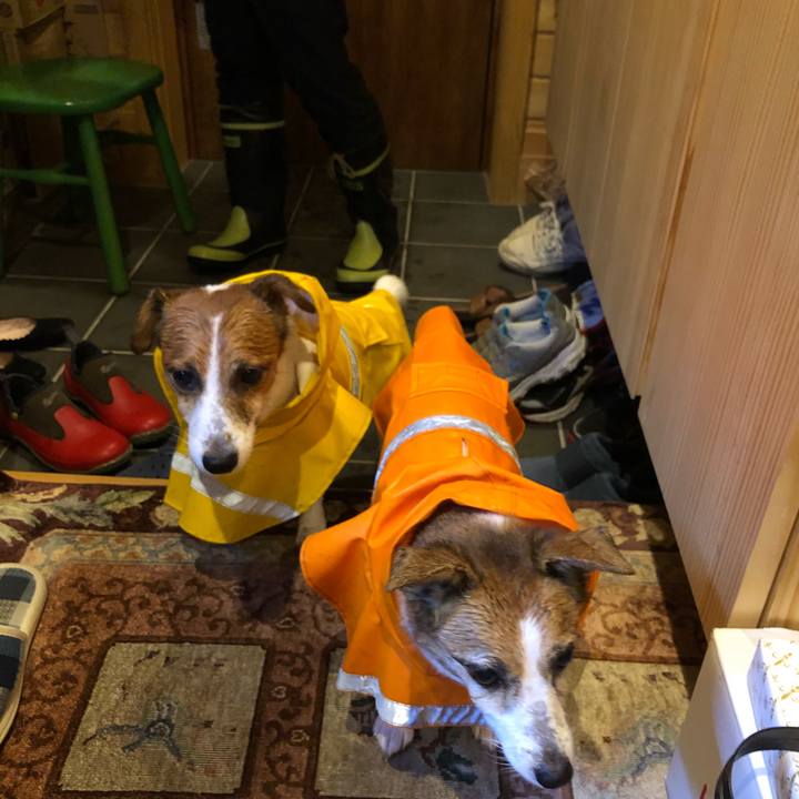 A57841e9 1d47 403e a7c5 538fb7c2384a 1538451059129