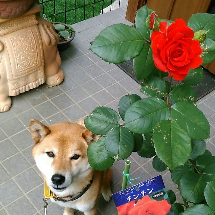 A5786562 8e3f 4ba0 964d 3be7a8bd8e87 1557621156997