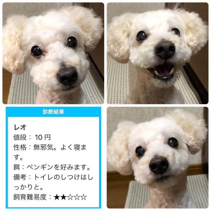 A578b2fe b888 4c1a a565 613bc9cb7aef 1530114109686