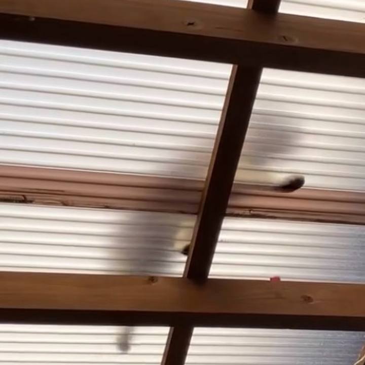 A578b851 c461 41f8 b40d 552c2b756468 1738548668835