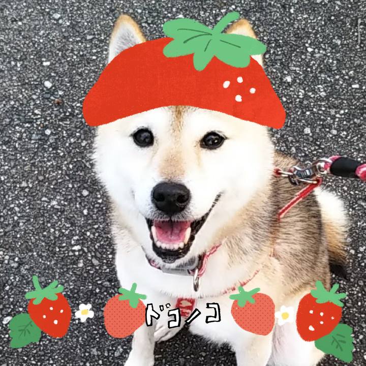 A578e658 2713 4b24 b31f 20db5509d415 1775371993565