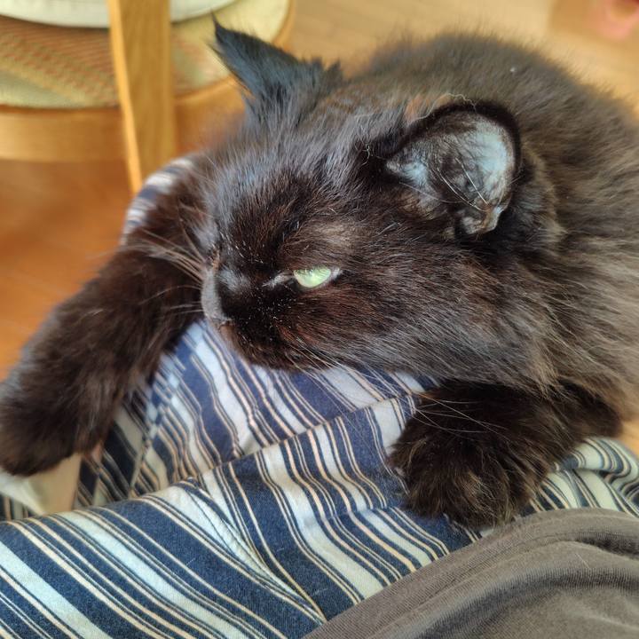 A578e6fc fe51 4668 b3a6 3365228234dd 1727581729106