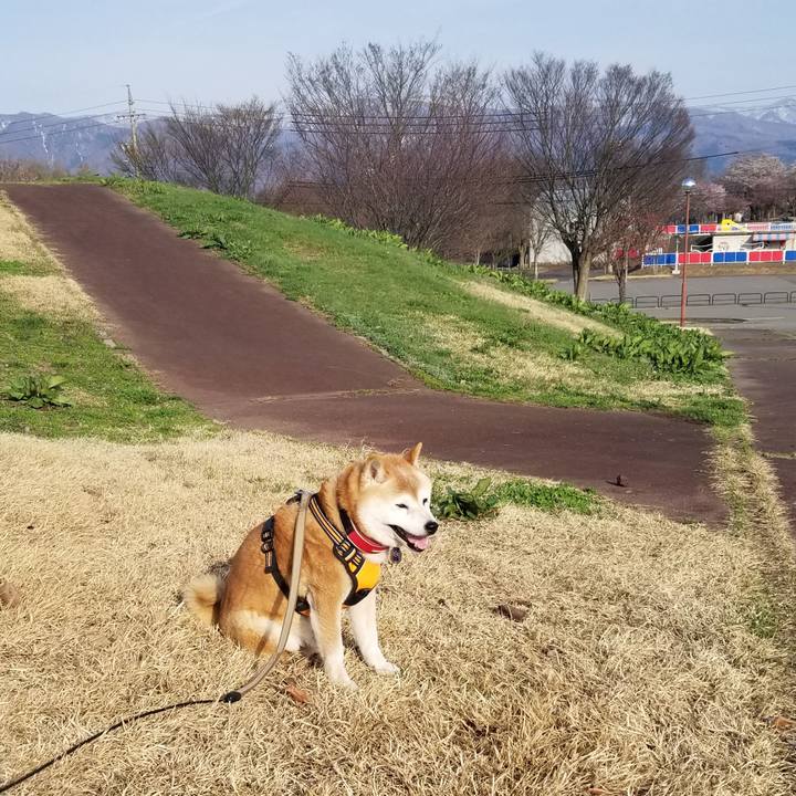 A578fab6 b072 402f 8fba e3eb7662c0ae 1713078952145