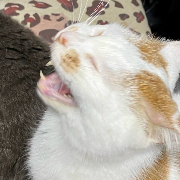 A579025b b30d 43ec a7fb d3f60050f16c 1641030329632