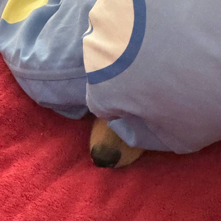 A5790b63 aecf 4916 966d c2cb6c5c3046 1747833217605