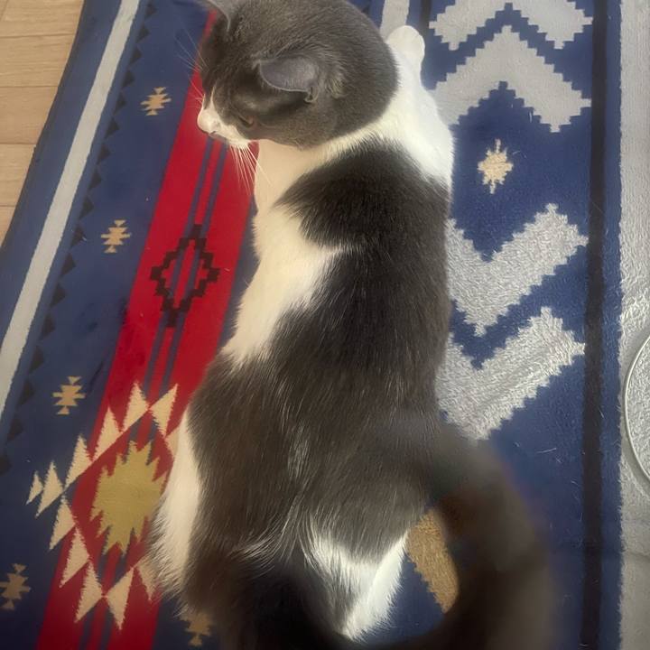 A5792c70 2084 45e6 9fe9 522a09205d61 1637488935417