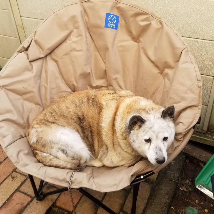 A57989b8 0b17 4f7a bc3c 5b9e6f3795ea 1673823389215