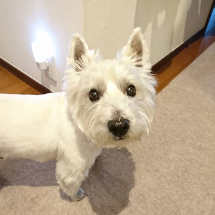 A579a343 c7c0 41a9 b9dd 6800a8dd0a03 1521632976257