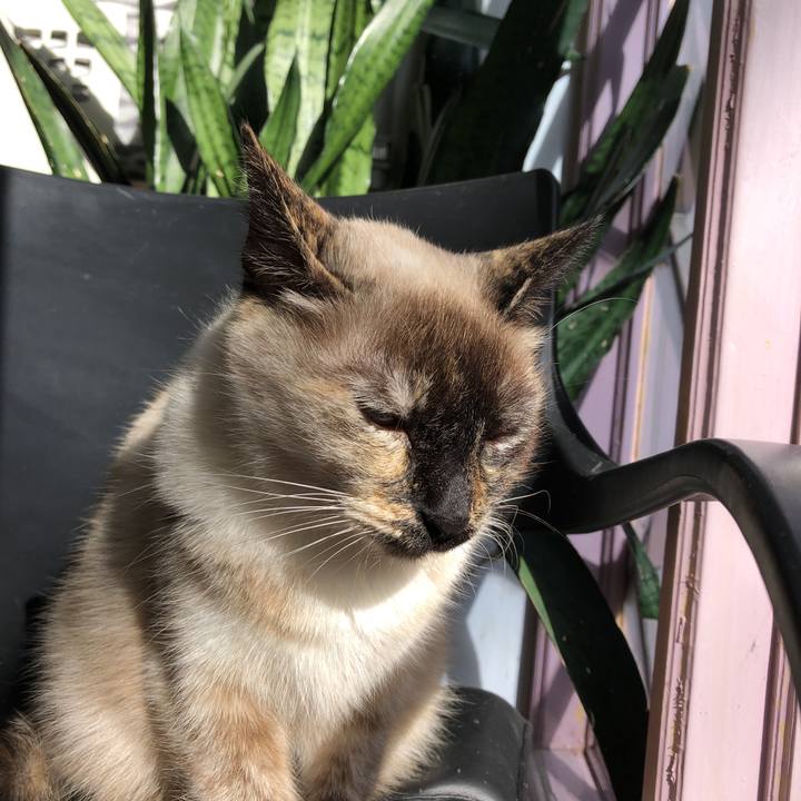 A579baa6 6a4f 4cc4 a452 2c201b81ec58 1546222564808