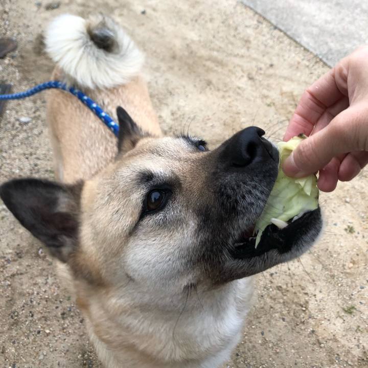 A579e86a e89f 477e 9ccf e2b4dd8945f9 1617279401401