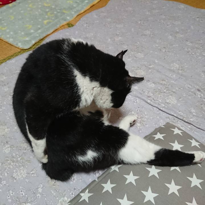 A579fe06 e786 40b0 be74 96d07cacdcc5 1578477827469