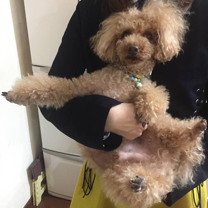 A57a3338 5e47 479c 8104 12b5cf8656c7 1517191446563