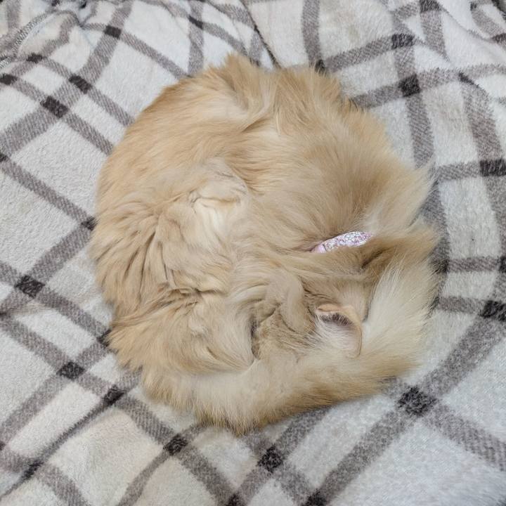 A57a42ad 14a5 4291 a4f1 c850c0b7395e 1772892580887