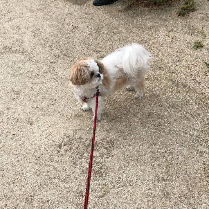 A57a5203 acaf 4ed2 9047 0769d6037eeb 1536011429541