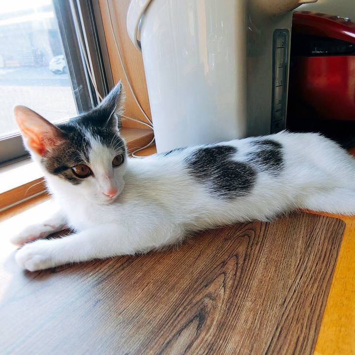 A57a533f 40fc 4f2c bcde f9efb477bfb9 1567466149420