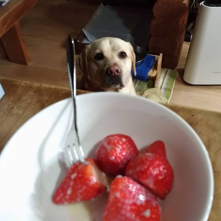 A57a5357 df7d 41db a6aa a43bc9cf3b69 1551326197070