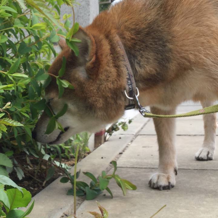 A57a8394 e9a6 4f2d a9ca e27405d3984a 1627701346116