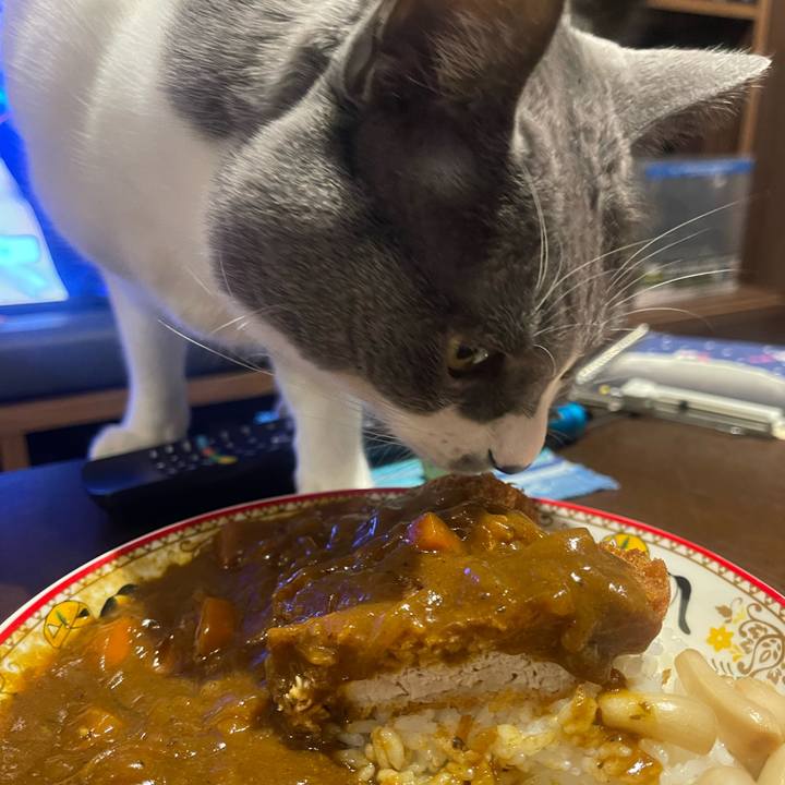 A57ad376 1597 4bb5 bf88 f52fb4936ba9 1701863129089