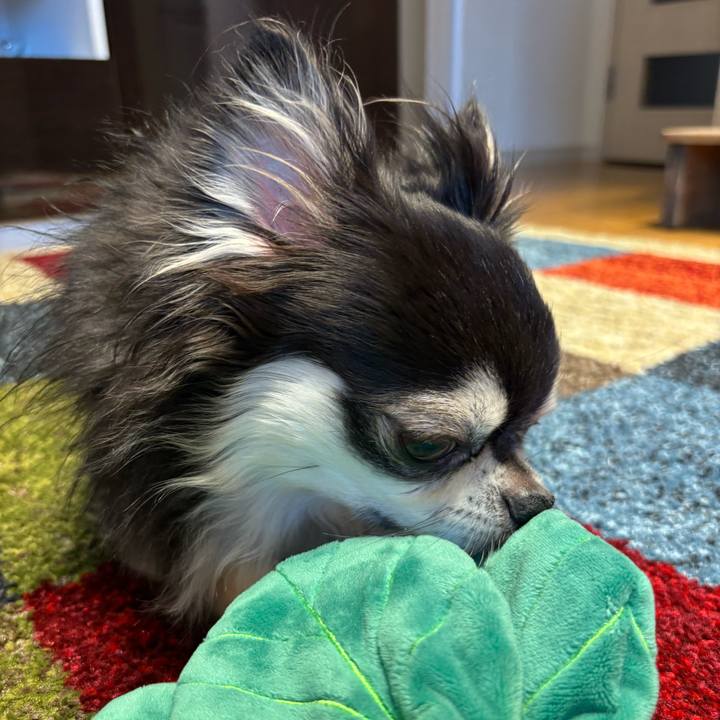 A57b0e48 a349 4365 9d92 8176a78572fc 1747587073760