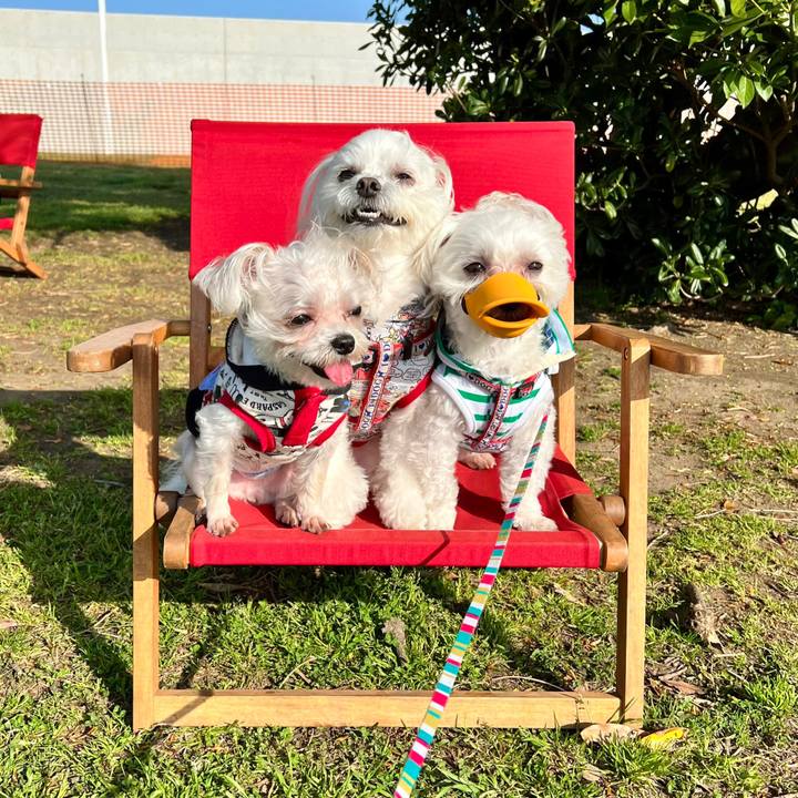 A57b3671 850f 4d70 9520 f49eeeb00aef 1649490323928