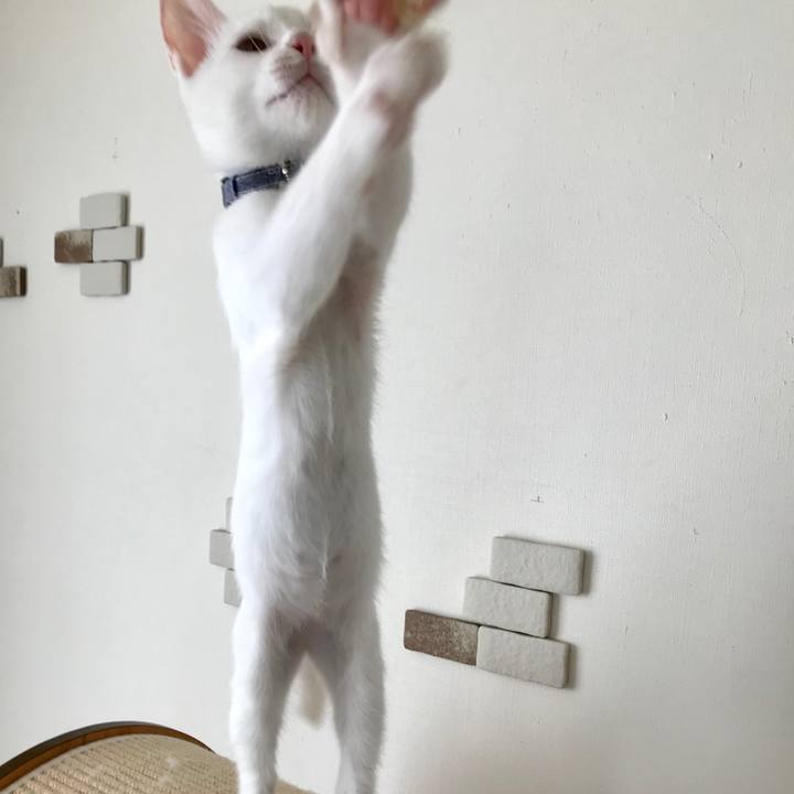 A57b3810 9423 4116 95d0 d507090cfbbb 1567238227197