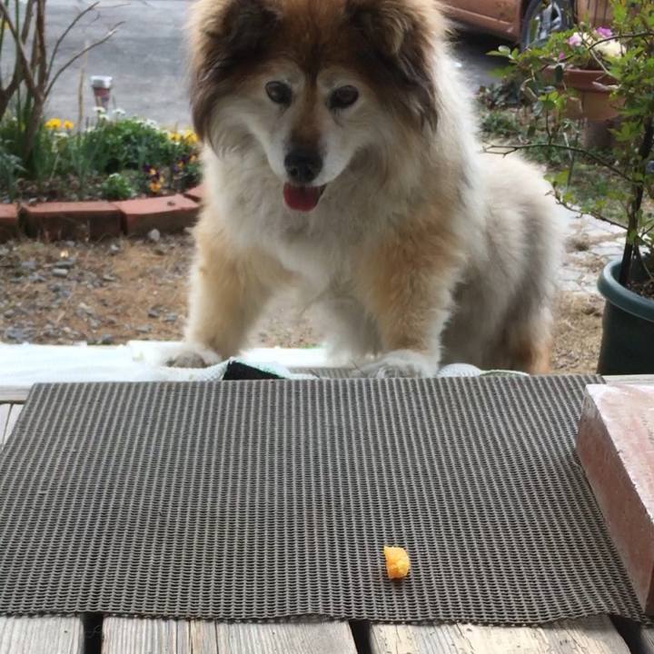 A57b7d0f fe85 4e61 b8fd 685f5730b484 1591619690921