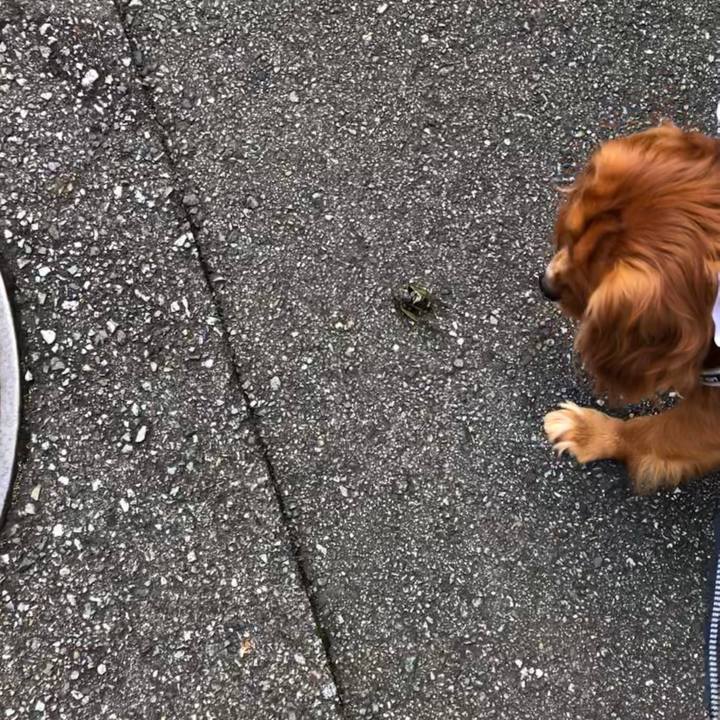 A57ba5e3 4a93 4044 84bb 436ef32de119 1595167836544