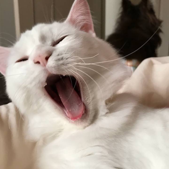 A57bfb2d 7dc7 4774 8903 97b94a4248b6 1521028505551