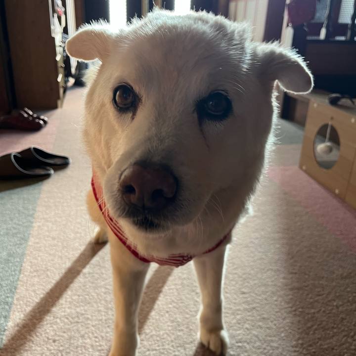 A57c00db 069f 4929 8daa e77c47dd3a76 1762990042694