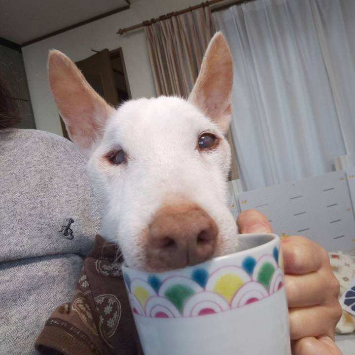 A57c0340 35d4 4d00 a834 564547554b92 1607038401340