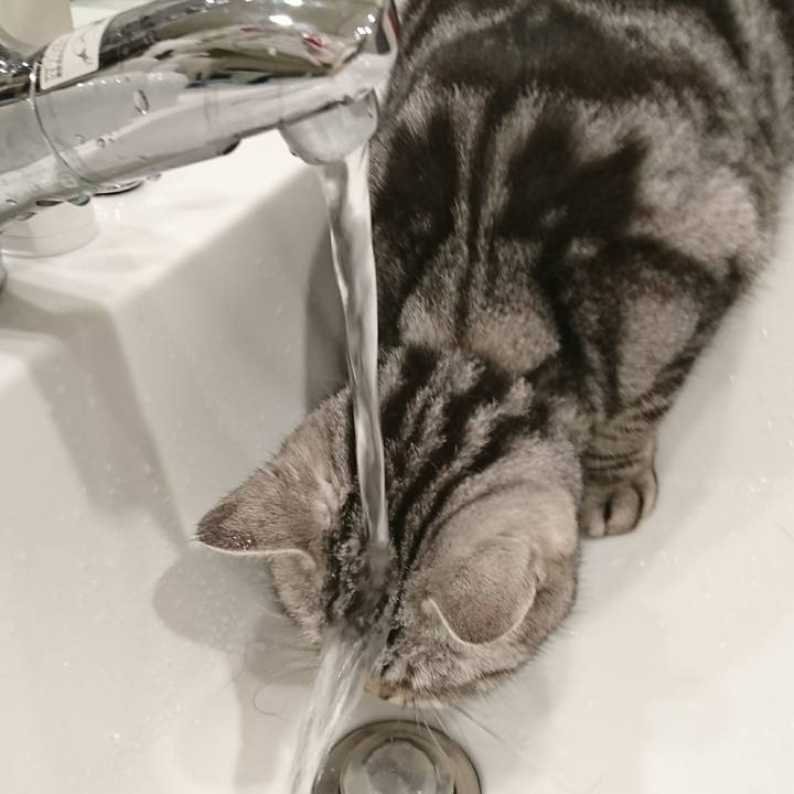 A57c080d 3d2c 4449 abab 9945a9e5c872 1524617503720