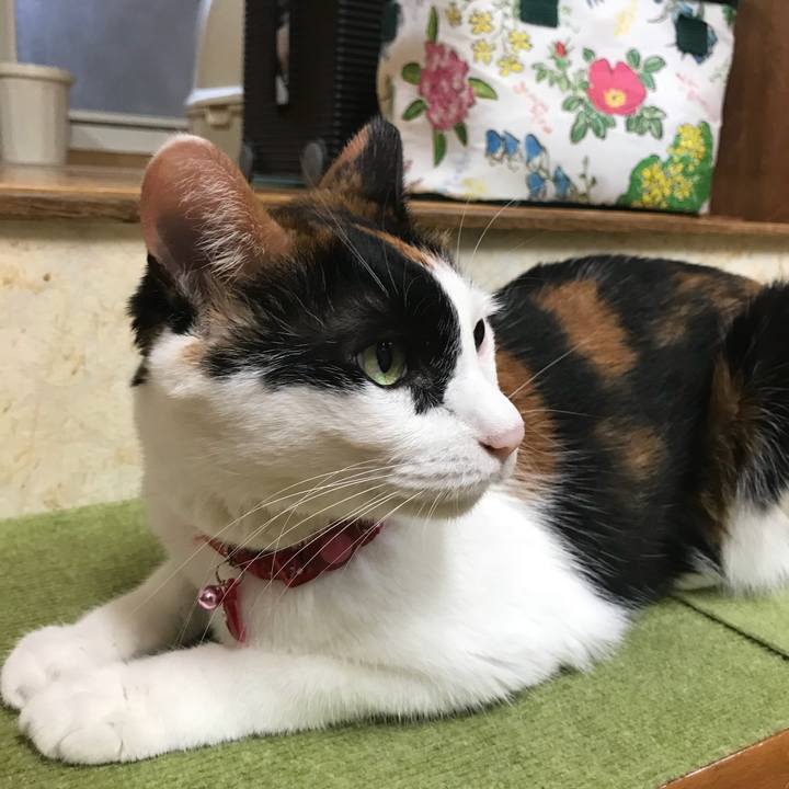 A57c0b1d 8684 43f5 ad9b bc8acd7966c2 1507794110795