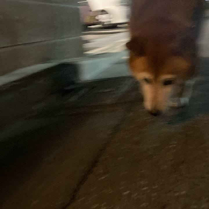 A57c0caf 2587 4ac1 bc41 5ca42f0c1c07 1697200061465