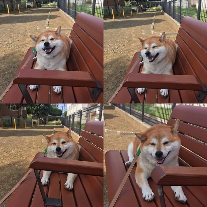 A57c14d1 4610 4999 b00f c023078142df 1600735923170