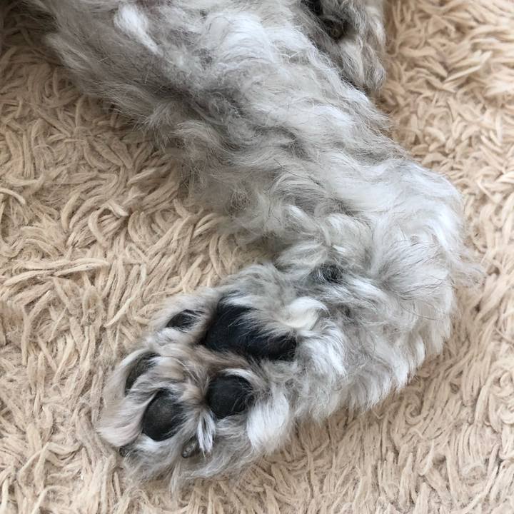 A57c23cd 61a7 4ca1 bb95 9c6b290e375d 1709253928665