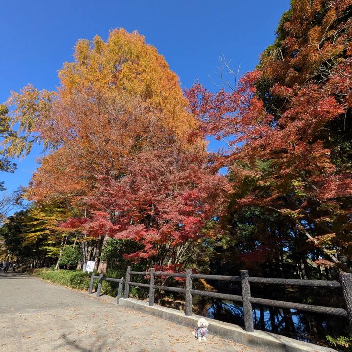 A57c597b f5f1 4ab2 b9db d5d052762f67 1763901874664