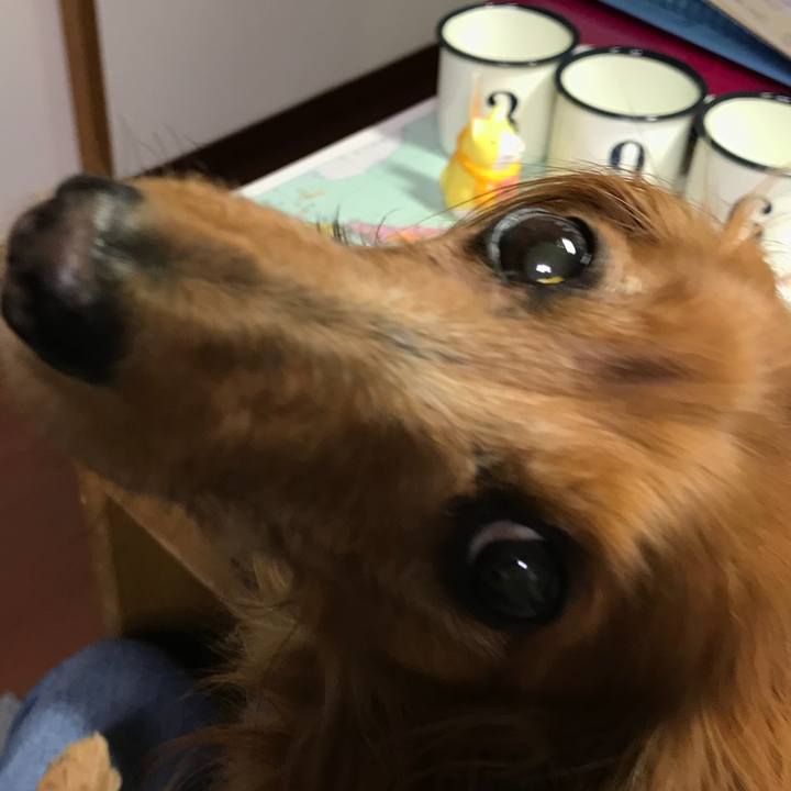 A57c63fa 5b83 4d71 99bb 12ee3db48861 1548154468163