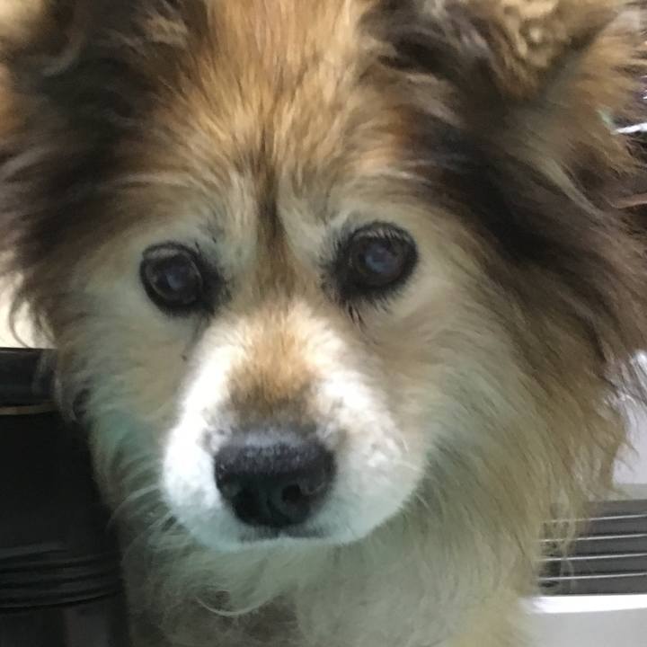 A57c6533 9143 43ca aeac 61bf02ba473b 1557744755146