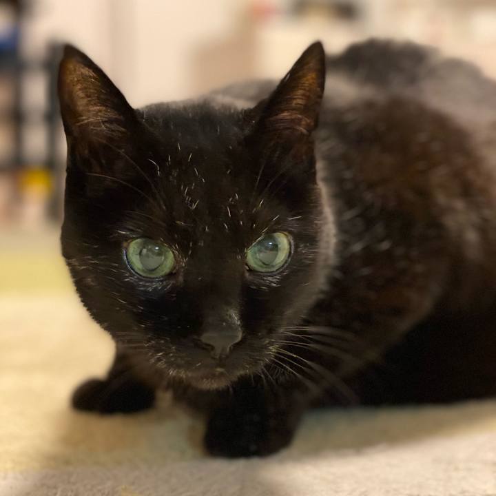 A57c663a 70ee 4eeb 9e13 6c1bae80ba08 1612007541855