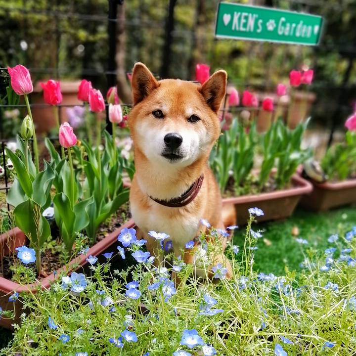 A57c8f30 32aa 4ad0 aa82 701606f84ae7 1587625049294