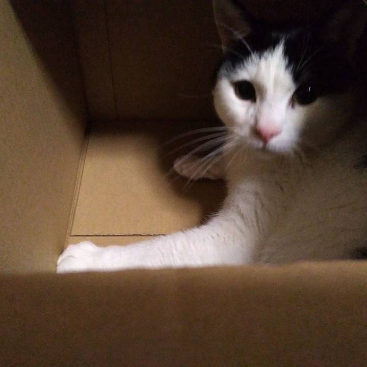 A57c9dcd 0ff9 4f8e 8797 10e3c9072d7a 1518608116927