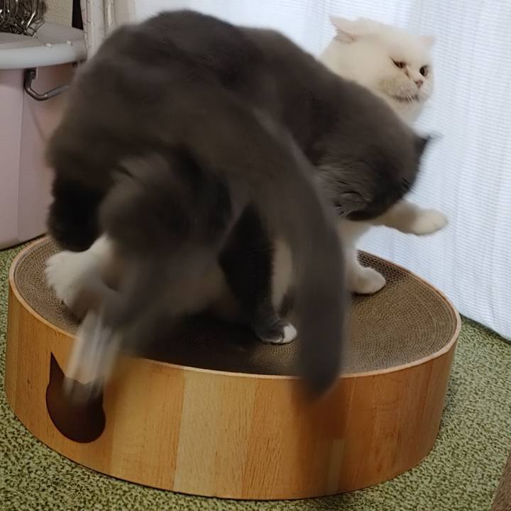 A57cac87 9ac6 40d8 9817 0e6493aeb73b 1703456886272