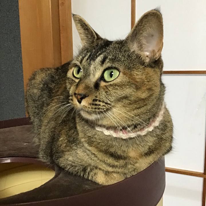 A57cb759 0dfc 4c65 81fb a67db3634316 1663578239235