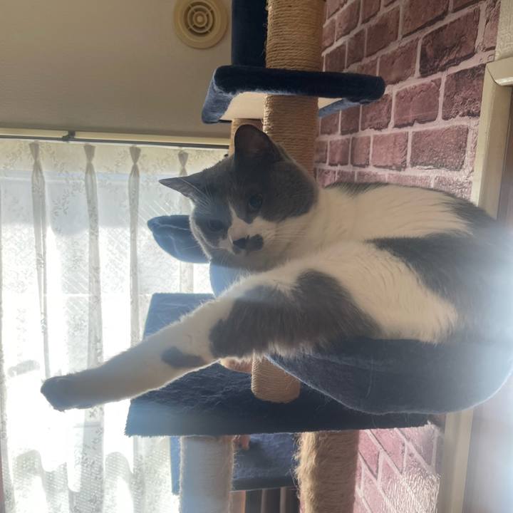 A57ce794 4936 4ed4 ac13 1a65eb08e069 1734496634657