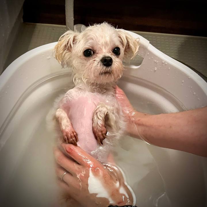 A57d032a fc35 4285 acb7 b094a264bad1 1670485858991