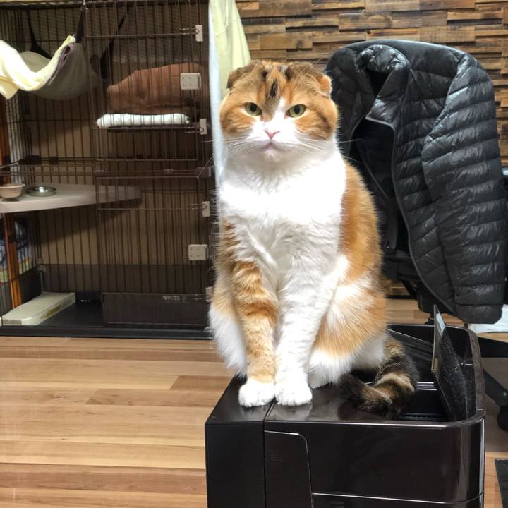 A57d1aa6 ac81 48b2 a1fd 074ec624b6ee 1615642468471