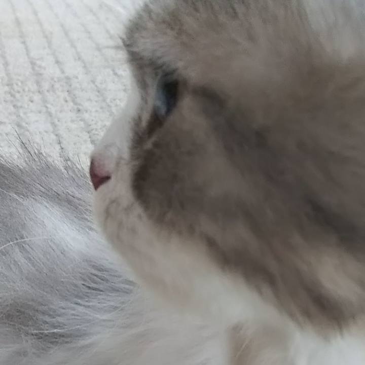 A57d1b81 ae8c 4d17 9071 4c946e2efe6e 1625352366171